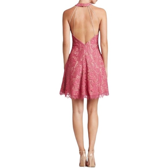 Dress the Population Angie Lace Fit & Flare Dress - Picture 3 of 16